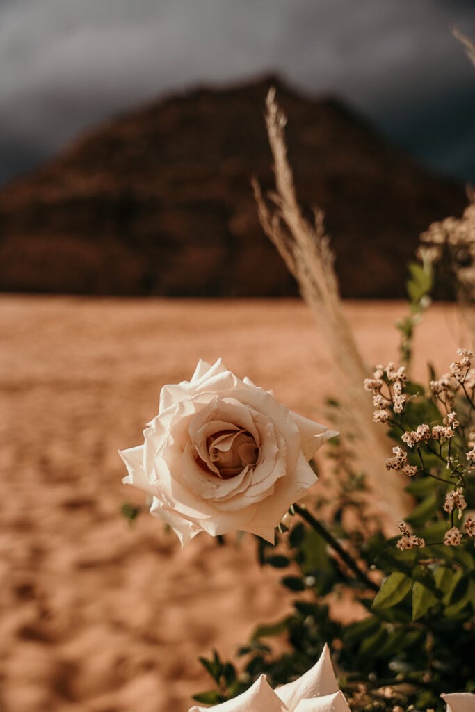 A rose from the wedding decorations with a stormy desert in the background.