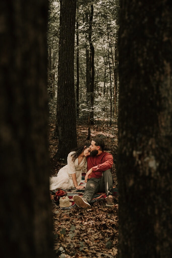 A bride and groom have an intimate picnic framed by two large trees.