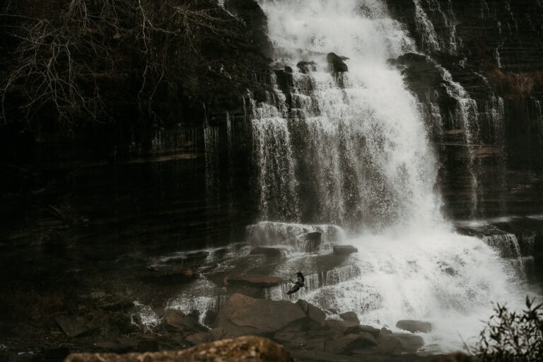 Crane flies in front of Twin Falls during the winter.