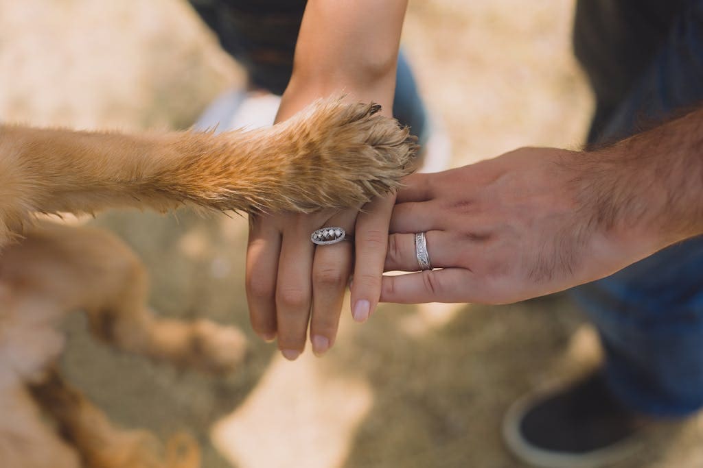 Two Person With Rings on Ring Fingers and a dog paw on top of their hands