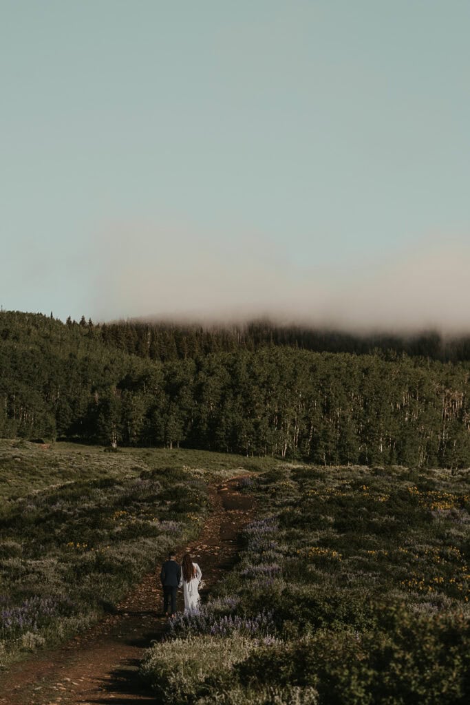 A couple walks down a dirt path off in the distance. Mountains are in the background.