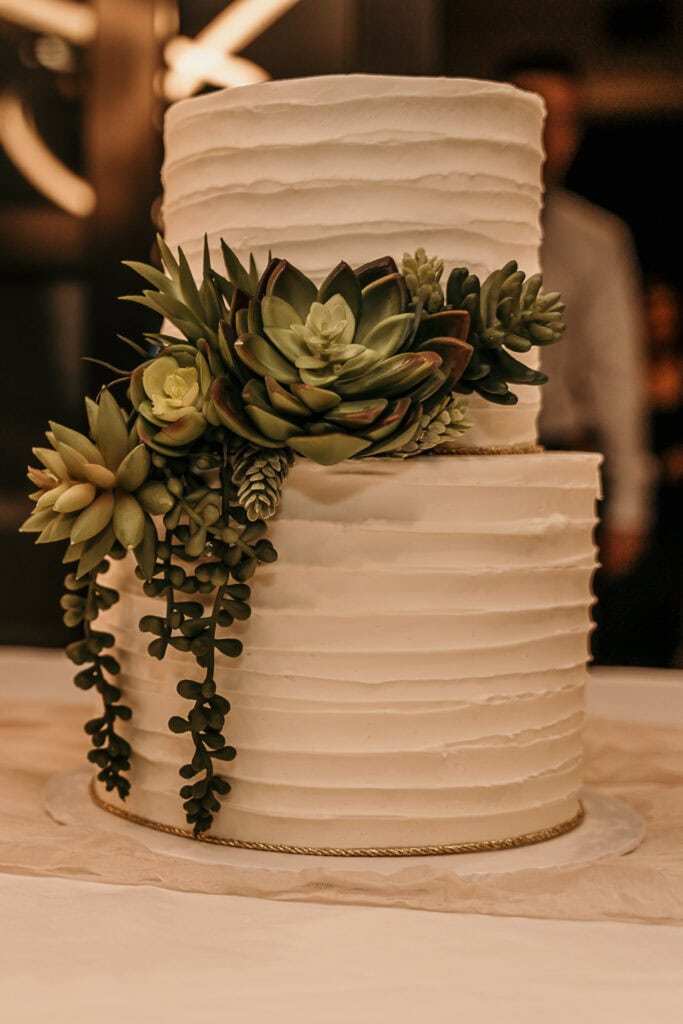 A simple white two-tier wedding cake with succulents.