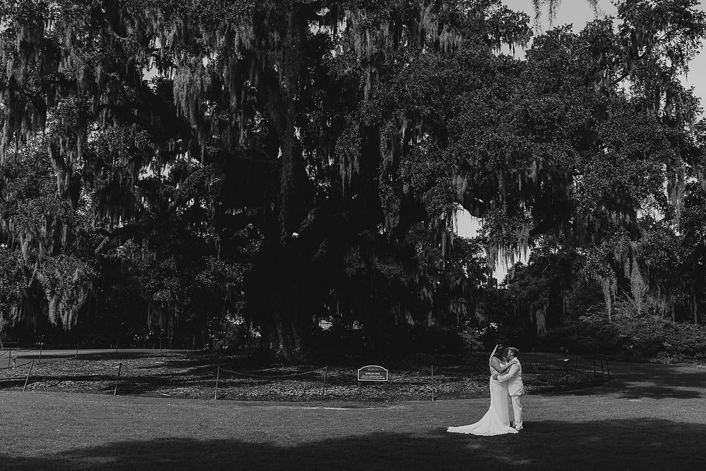 black and white elopement couple under a big oak tree in airlie gardens