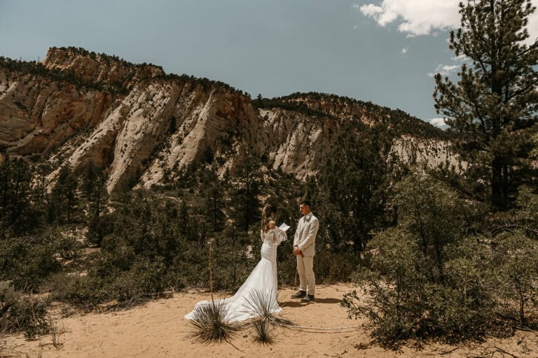How To Elope In Zion National Park